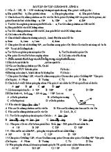 Bài tập ôn tập Chương II - Hình học 6